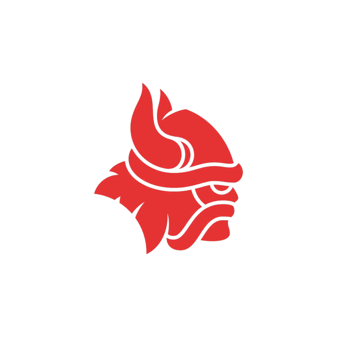 Vikings Triathlon Club